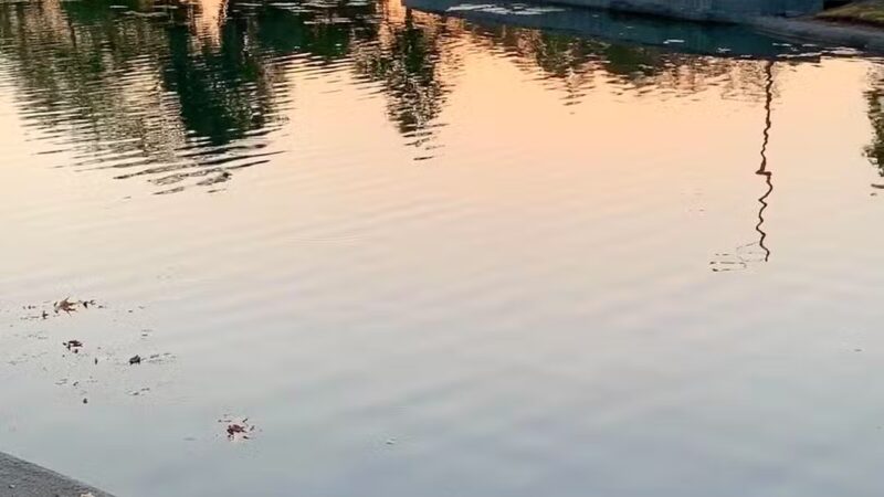 La Mirada Community Regional Park - La Mirada, CA