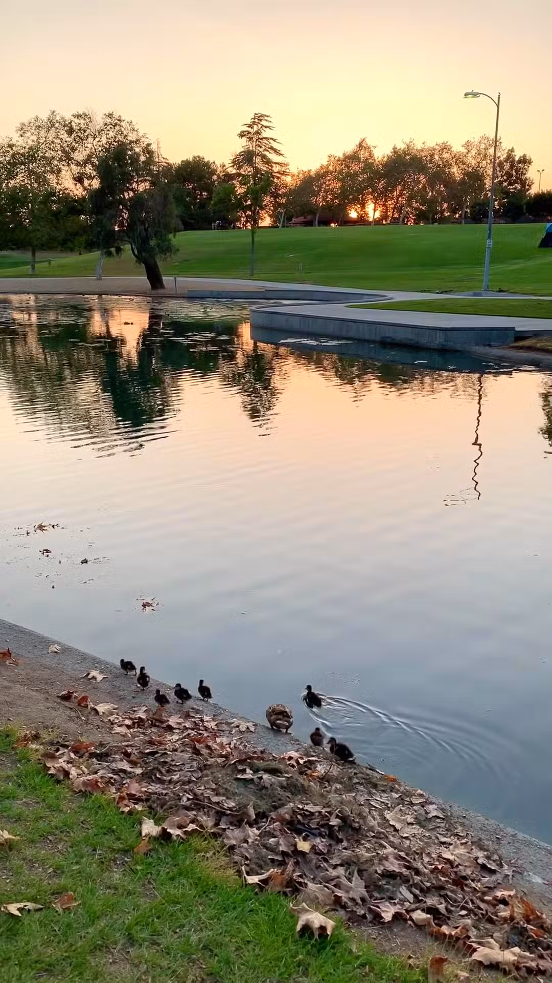 La Mirada Community Regional Park - La Mirada, CA