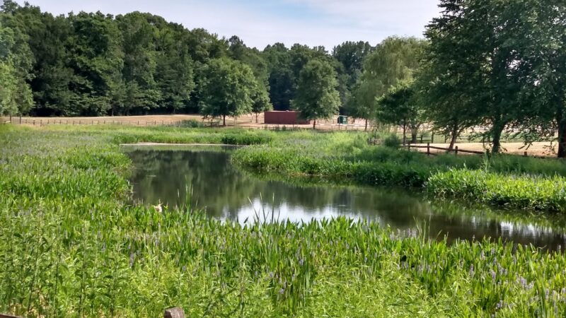 Pisgah Park - La Plata, MD