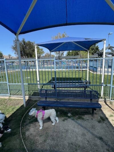 Fritz Burns Dog Park - La Quinta, CA