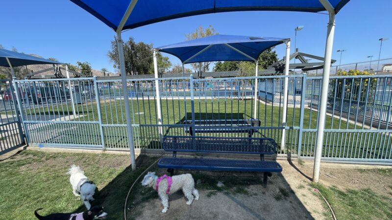 Fritz Burns Dog Park - La Quinta, CA