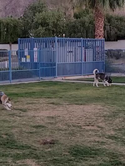 Fritz Burns Dog Park - La Quinta, CA