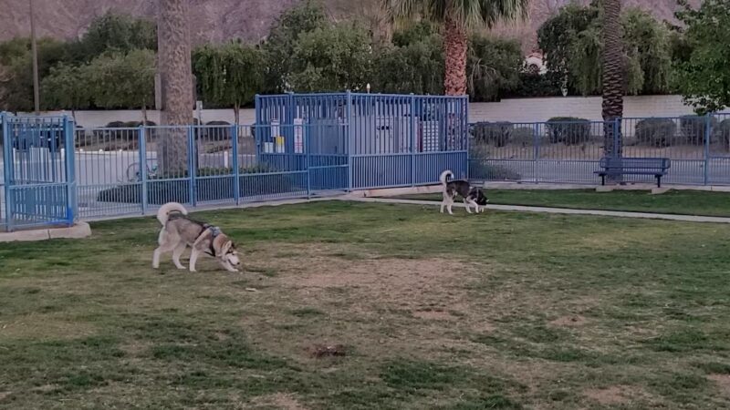 Fritz Burns Dog Park - La Quinta, CA