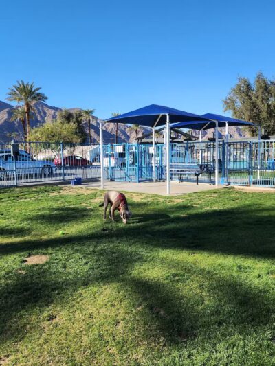 Fritz Burns Dog Park - La Quinta, CA