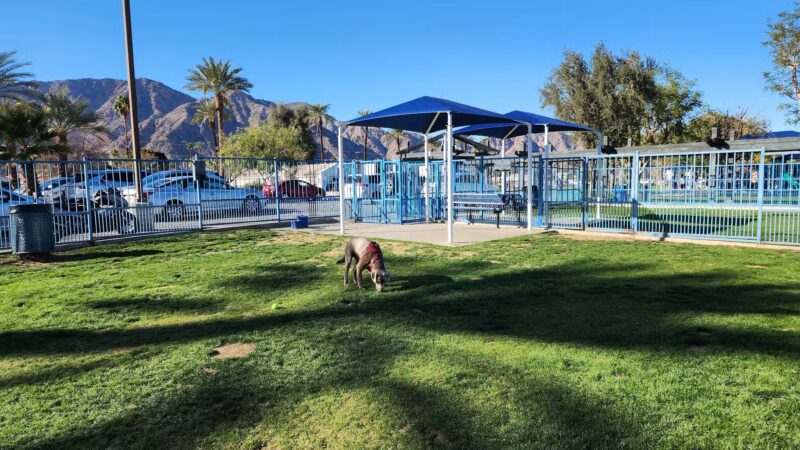 Fritz Burns Dog Park - La Quinta, CA