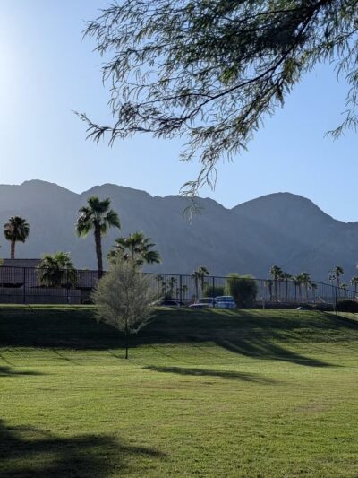 Seasons Dog Park - La Quinta, CA