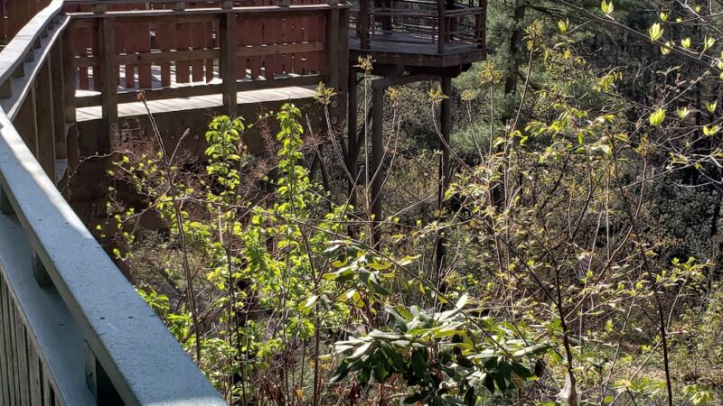 Lackawaxen Park - Lackawaxen, PA