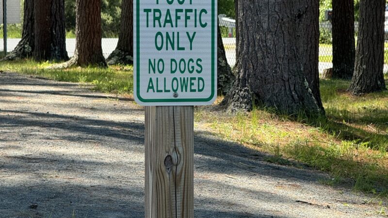 Lackawaxen Park - Lackawaxen, PA