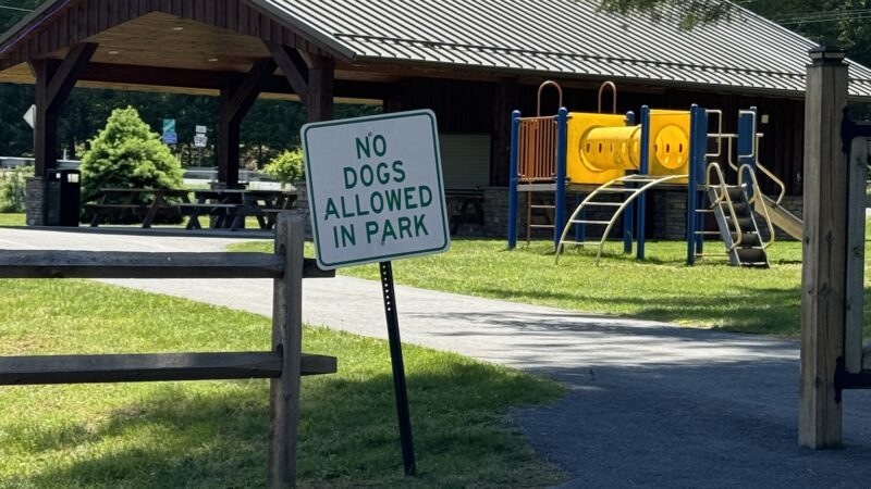 Veterans' Memorial Park - Lackawaxen, PA