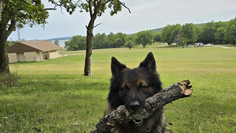 Linn County Park - Lacygne, KS