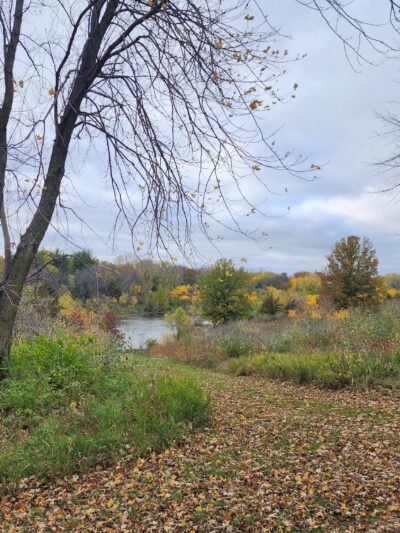 Lake Iowa Park (Iowa County Conservation) - Ladora, IA