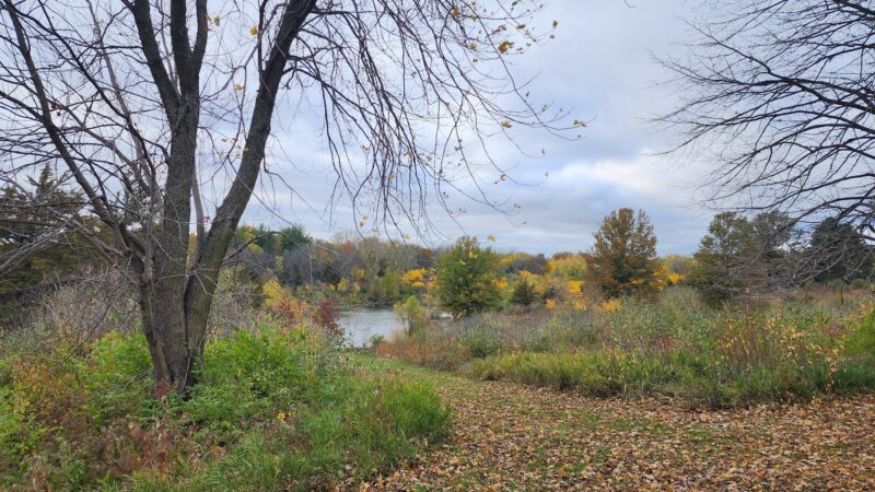 Lake Iowa Park (Iowa County Conservation) - Ladora, IA
