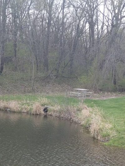 Lake Iowa Park (Iowa County Conservation) - Ladora, IA