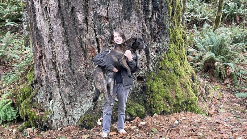 Lady's Elite K-9 Training - ,