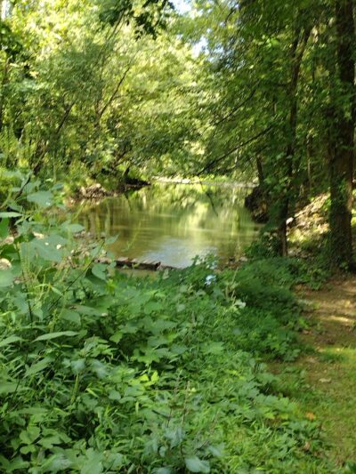 Walking Trail - LaFollette, TN