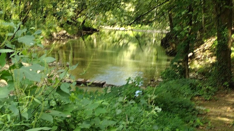 Walking Trail - LaFollette, TN