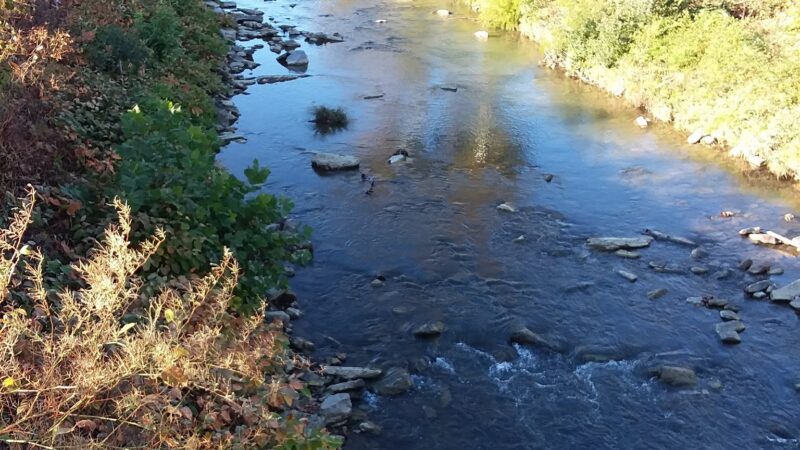 Walking Trail - LaFollette, TN