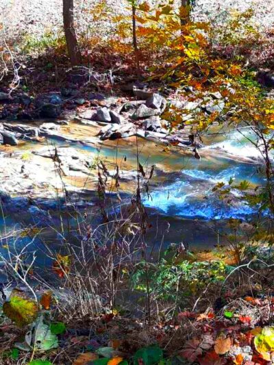 Walking Trail - LaFollette, TN