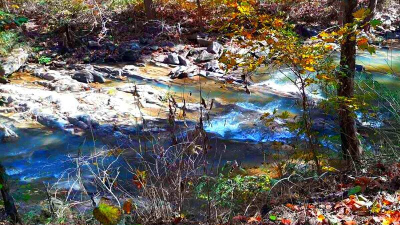 Walking Trail - LaFollette, TN