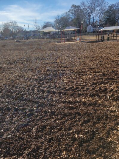 Southbend DogPark - LaGrange, GA