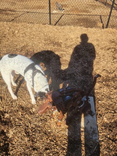 Southbend DogPark - LaGrange, GA
