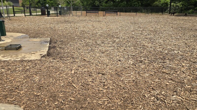 Southbend DogPark - LaGrange, GA