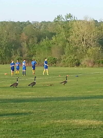 Stringham Park - Lagrangeville, NY