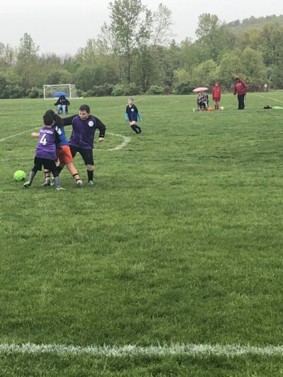 Stringham Park - Lagrangeville, NY