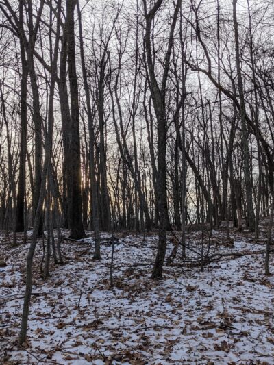 Tymor Park - Trail K - Lagrangeville, NY