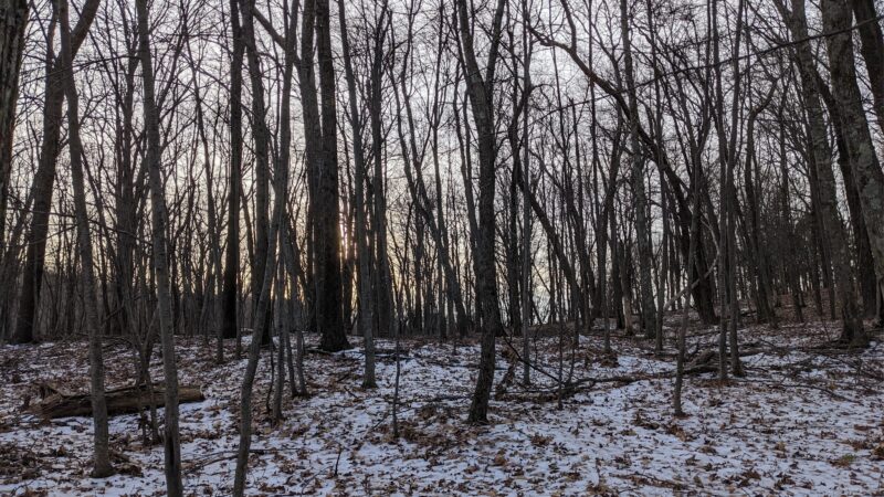 Tymor Park - Trail K - Lagrangeville, NY