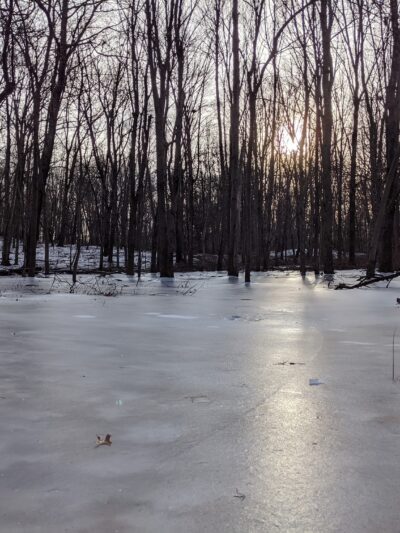 Tymor Park - Trail K - Lagrangeville, NY