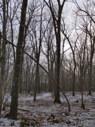 Tymor Park - Trail K - Lagrangeville, NY