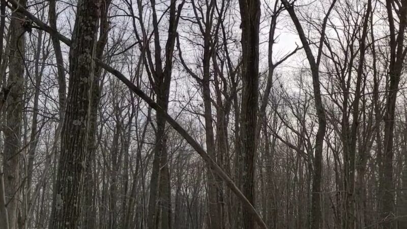 Tymor Park - Trail K - Lagrangeville, NY