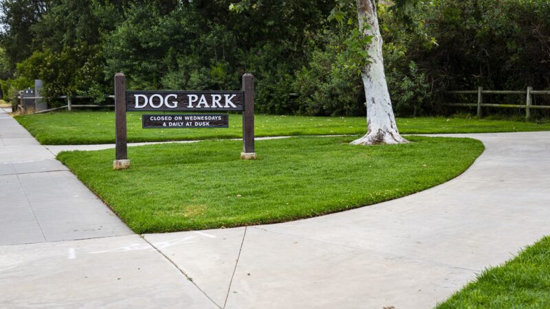Laguna Beach Dog Park - Laguna Beach, CA