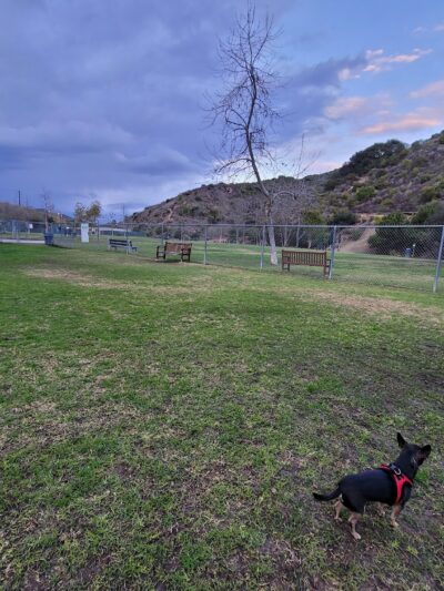 Laguna Beach Dog Park - Laguna Beach, CA