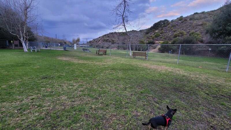 Laguna Beach Dog Park - Laguna Beach, CA