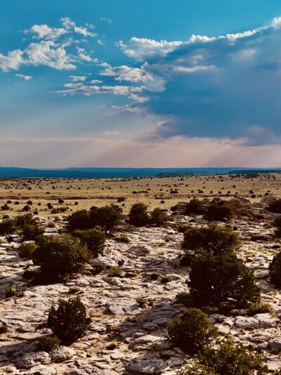 Laguna - Laguna, NM