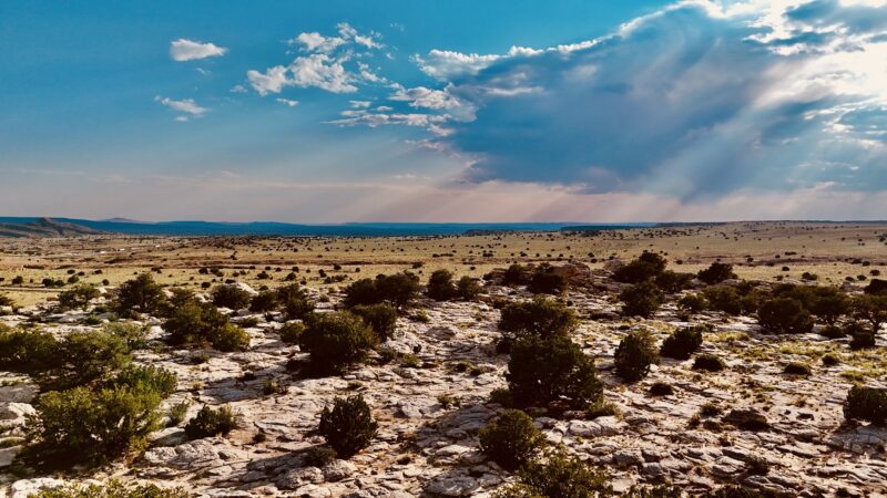 Laguna - Laguna, NM