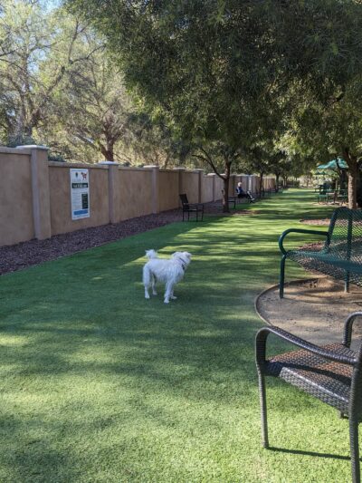 Laguna Woods Dog Park - Laguna Woods, CA