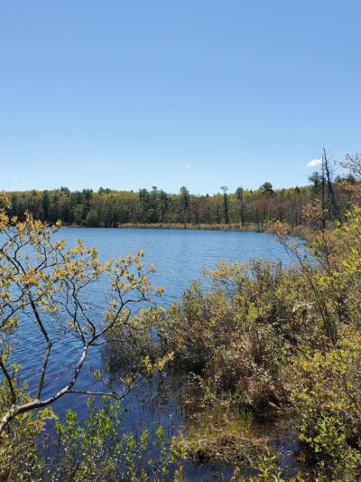 Lacawac Sanctuary Field Station and Environmental Education Center - Lake Ariel, PA