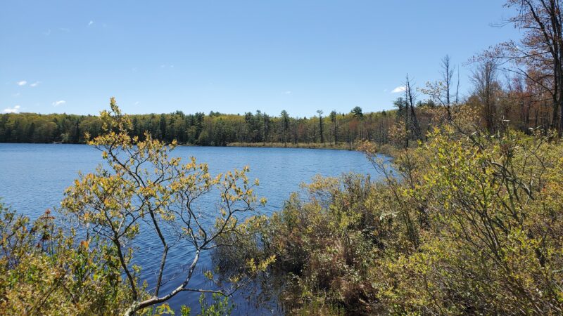 Lacawac Sanctuary Field Station and Environmental Education Center - Lake Ariel, PA