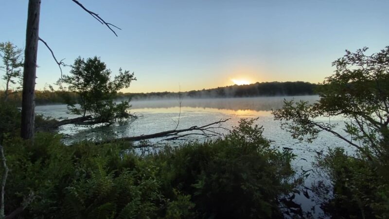 Lacawac Sanctuary Field Station and Environmental Education Center - Lake Ariel, PA