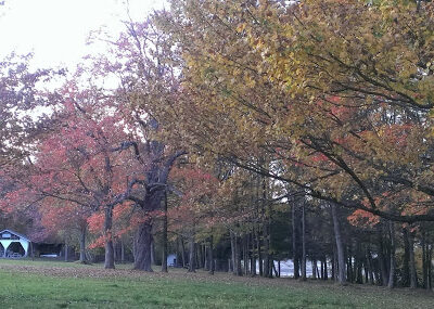Lake Moc-A-Tek Campground - Lake Ariel, PA