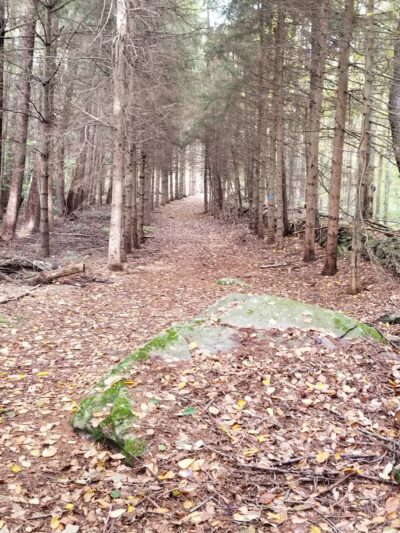 Varden Conservation Area Tannery Tract - Lake Ariel, PA