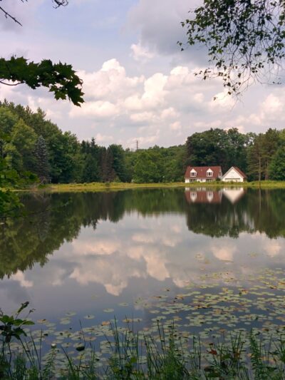 Varden Conservation Area Tannery Tract - Lake Ariel, PA
