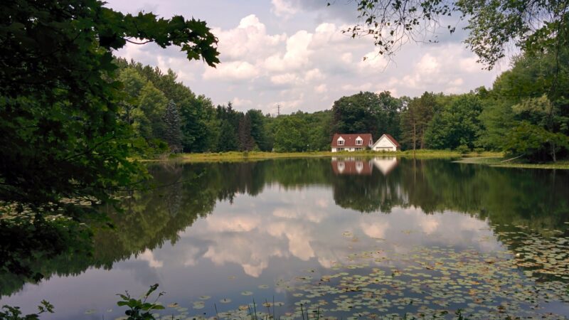 Varden Conservation Area Tannery Tract - Lake Ariel, PA