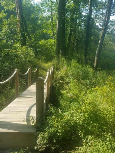 Varden Conservation Area Tannery Tract - Lake Ariel, PA