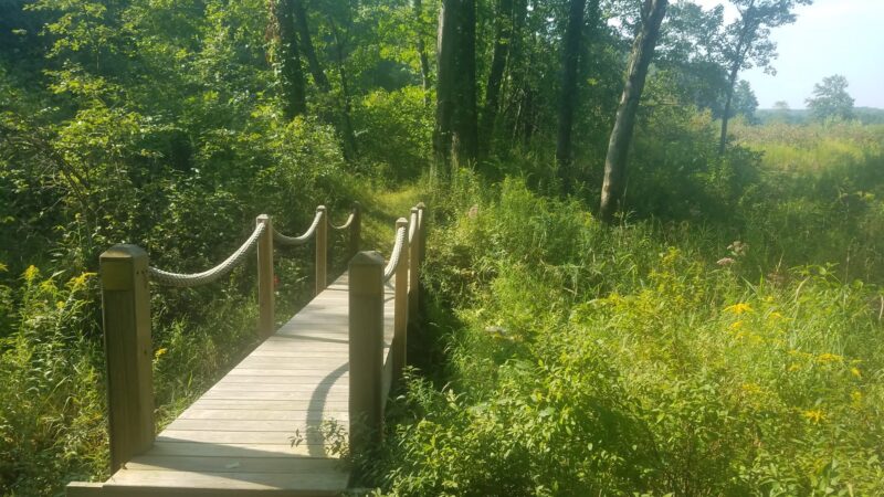 Varden Conservation Area Tannery Tract - Lake Ariel, PA