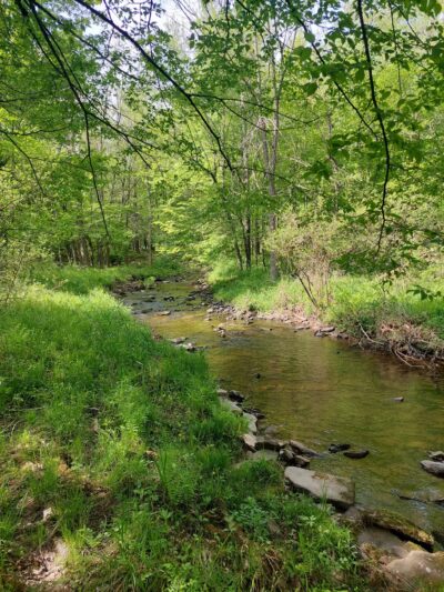 Varden Conservation Area Tannery Tract - Lake Ariel, PA