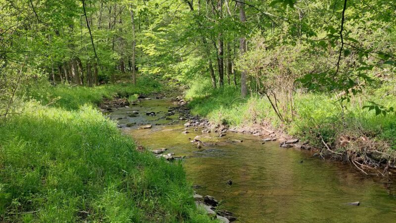 Varden Conservation Area Tannery Tract - Lake Ariel, PA